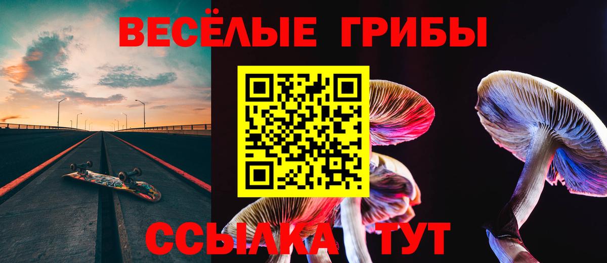 Каменка  Галлюциногенные грибы прущие грибы  Галлюциногенные грибы Psilocybe  Вход с VPN 