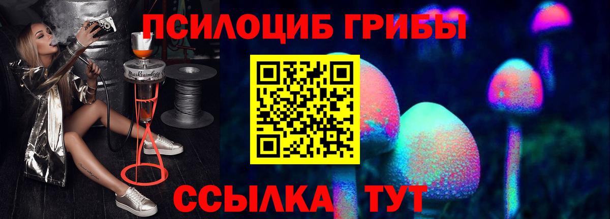 Псилоцибиновые грибы прущие грибы Каменка